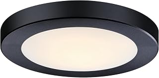 Westinghouse Lighting LED Indoor/Outdoor Flush Mount Fixture with Color Temperature Selection-Black