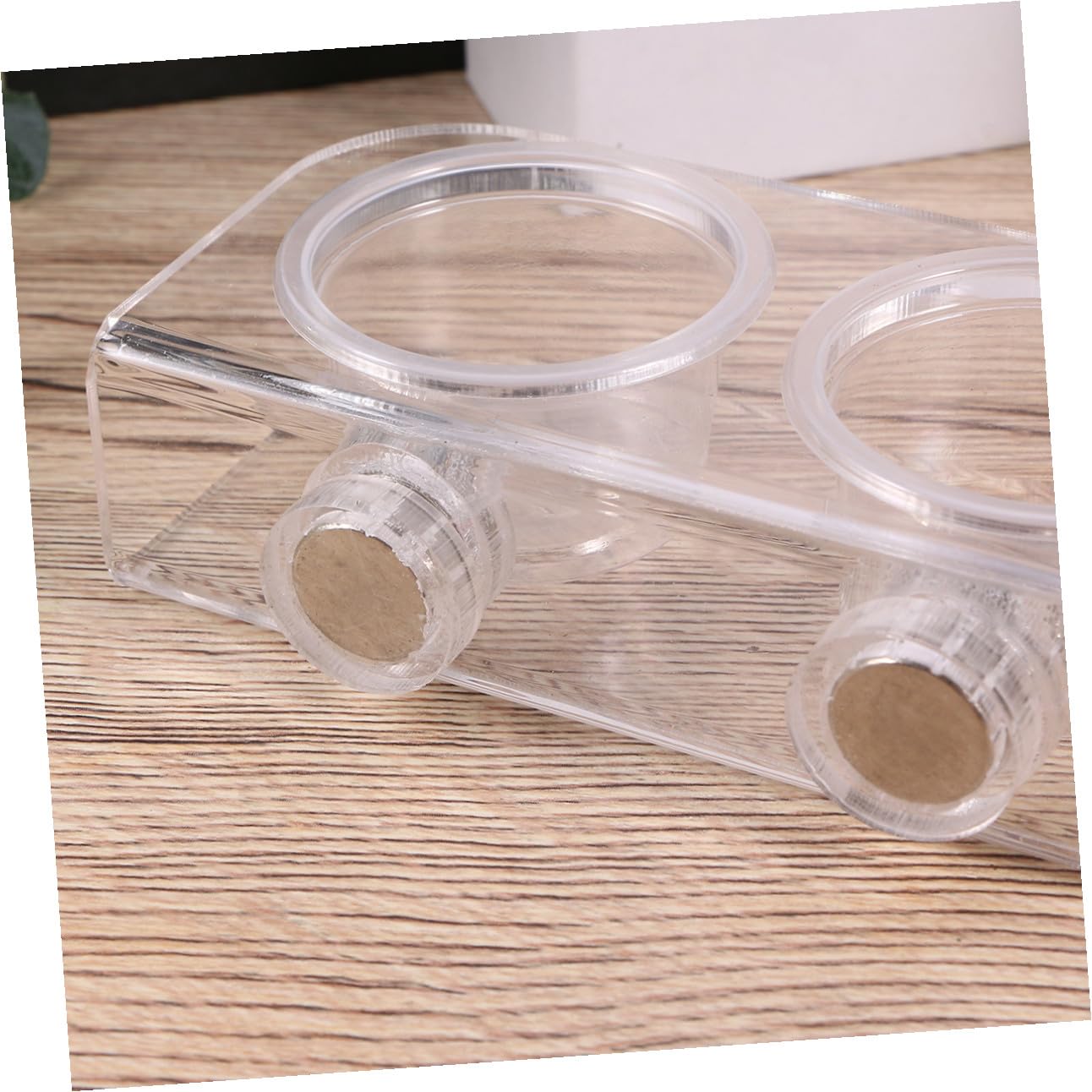 2 Pezzi Piatto per Rettili Lucertola Cibo Lucertola Alimentatore Rettile Piatto di Alimentazione Ciotola di Cibo Rettile Piatto di Cibo Accessori per Rettili Rettile Alimentatore