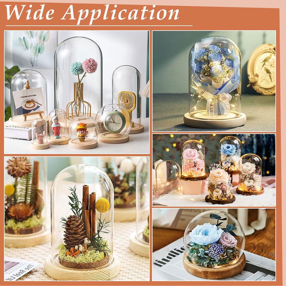 Dôme en verre pour décoration de table, décor de C... - Grandado Dôme en verre pour décoration de table, décor de C... - Grandado