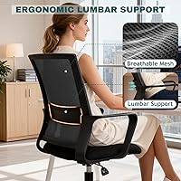 Vista 4 de PayLessHere Gaming Chair Ergonomic Computer Chair Office Chair Video Game Chairs with Lumbar Support Desk Chair Armrest Mid Black Cushion Swivel