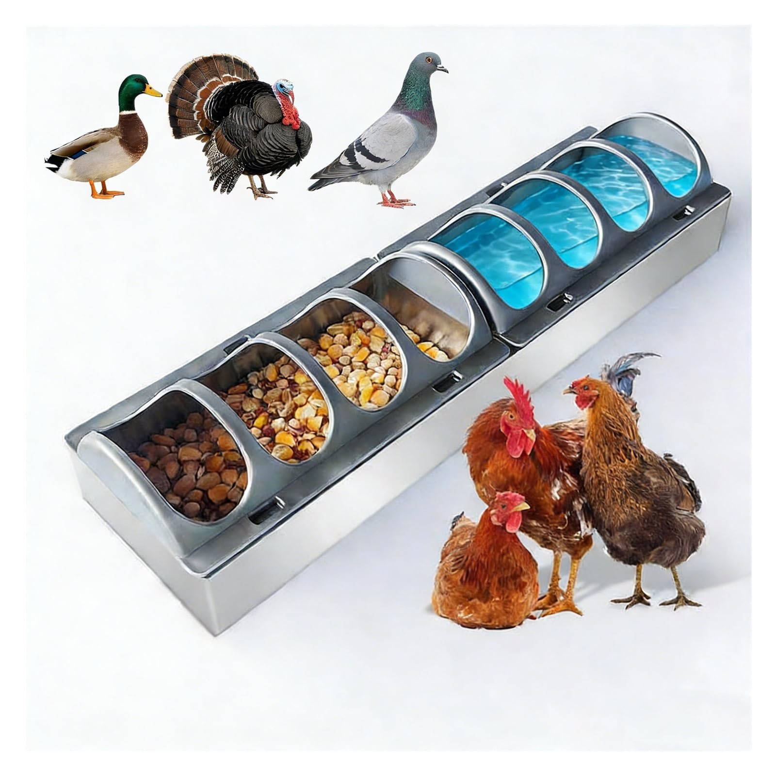Comedero y bebedero para pollo, 8 ranuras, dispensador multifuncional para uso en el suelo, recipiente de acero inoxidable