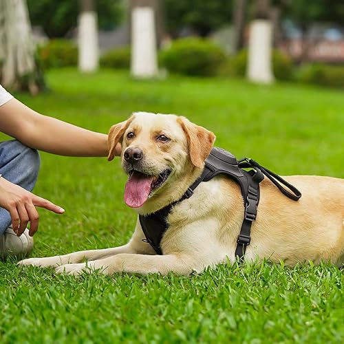 Miniatura 6 de Arnés 2 en 1 para perro, arnés para mascotas sin tirones con correa autoencogible, función de bloqueo automático para evitar que el perro corra