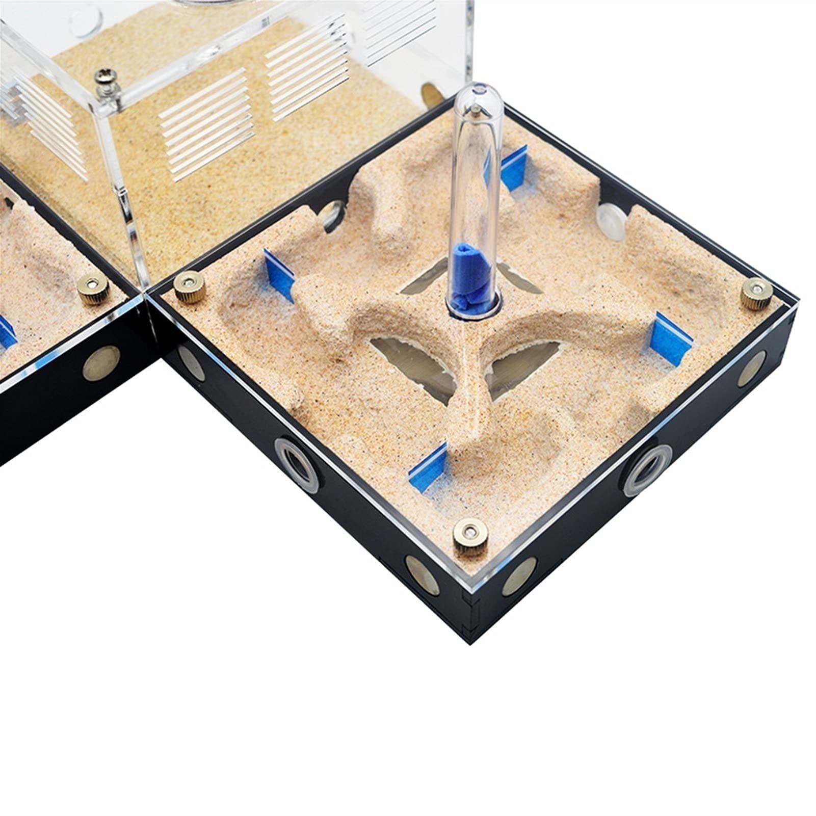 Formicario de Hormigas, Hormigón de expansión empalmable, Nido Hormiga Plano, hormigón acrílico con Torre Agua for Hormigas. Hábitat
