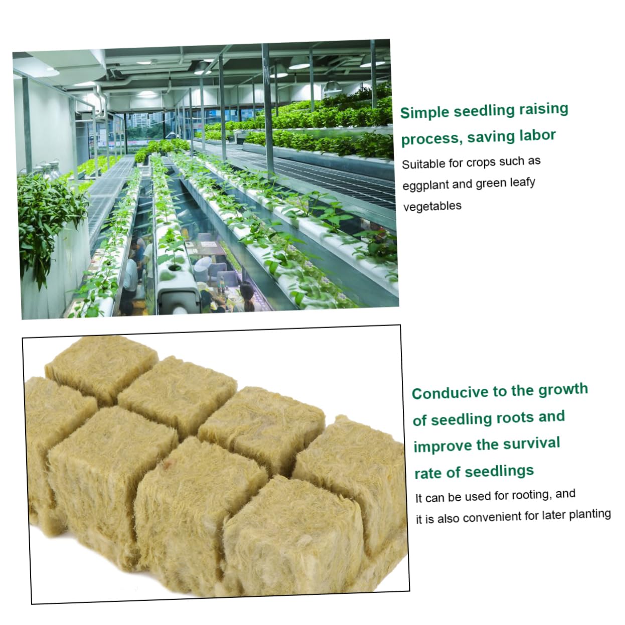 Bloques de Lana Material Limpio y Sanitario para Cultivo Hidropónico sin Suelo 8 Piezas de 1,5 Pulgadas Adecuado para Jardinería y Cultivo de Plántulas