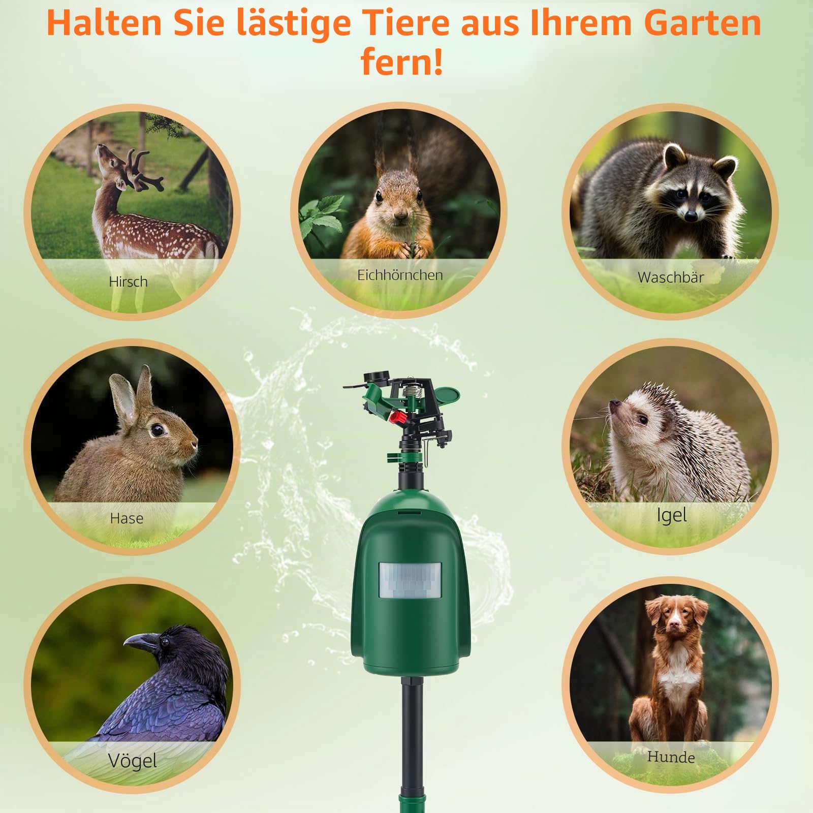 360 ° Tierfreundlicher Katzenschreck mit Wasserstrahl –, PIR-Sensor bis 10m, 360° Abschreckbar für Katzen, Marder, Vögel & Waschbären – Humaner Tiervertreiber für Garten & Teich