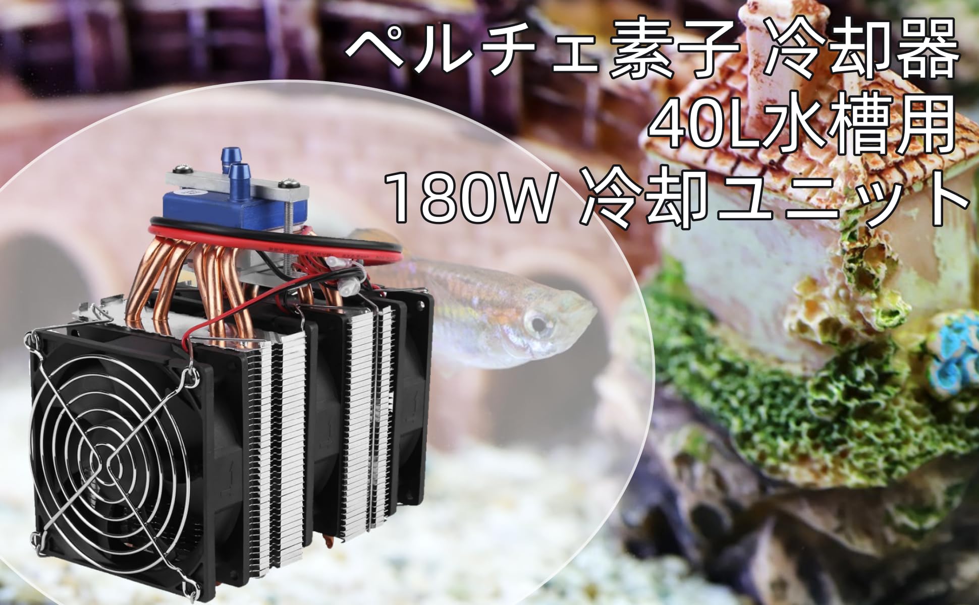 Amazon | ペルチェ素子 クーレット 冷却器 DIYミニデュアルコア電気