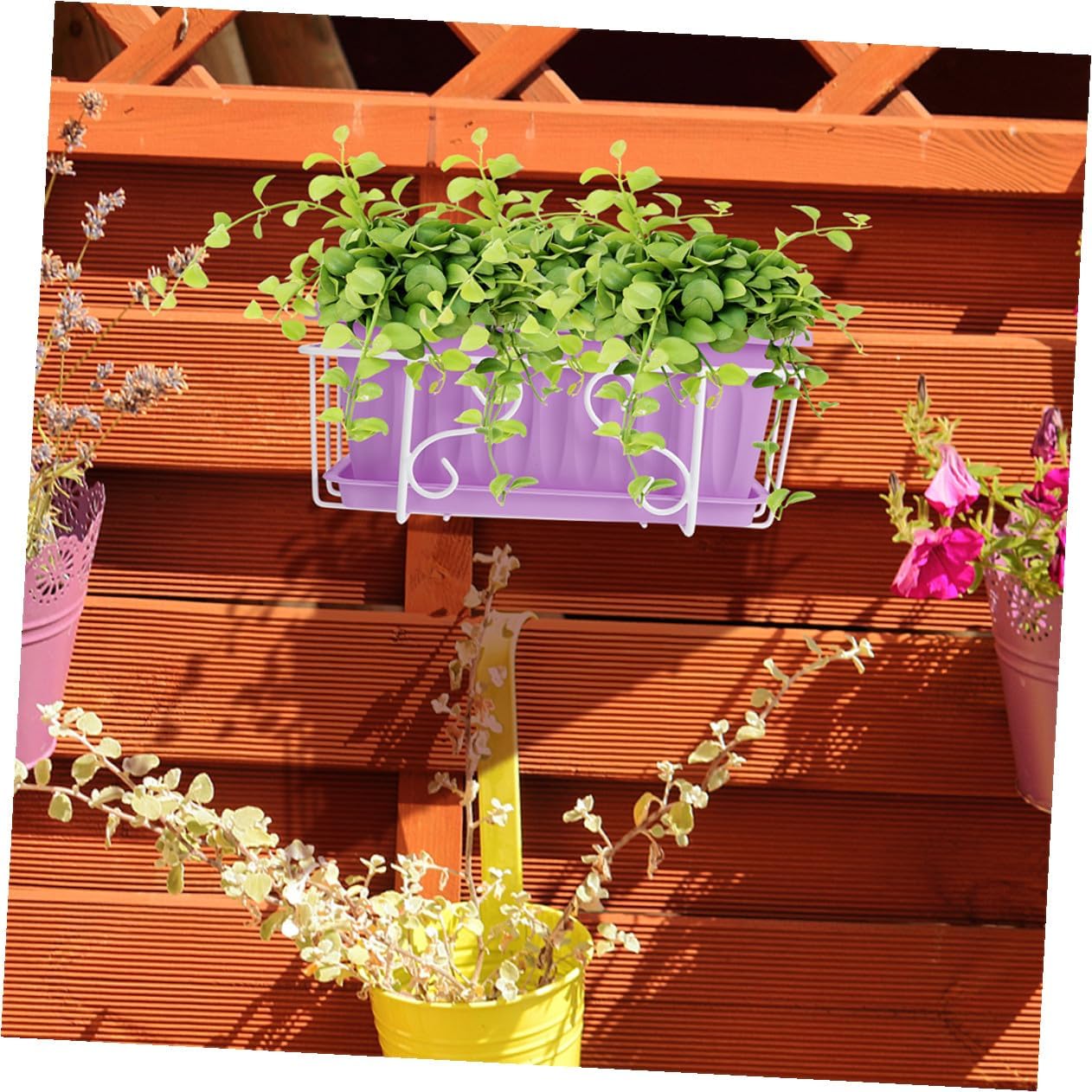 Rectangular Hanging Window Box Planter for Vegetables and Succulents with Violet Pot, White Metal Frame, and Saucer, Medium Size Gardening Container for Balcony and Railing