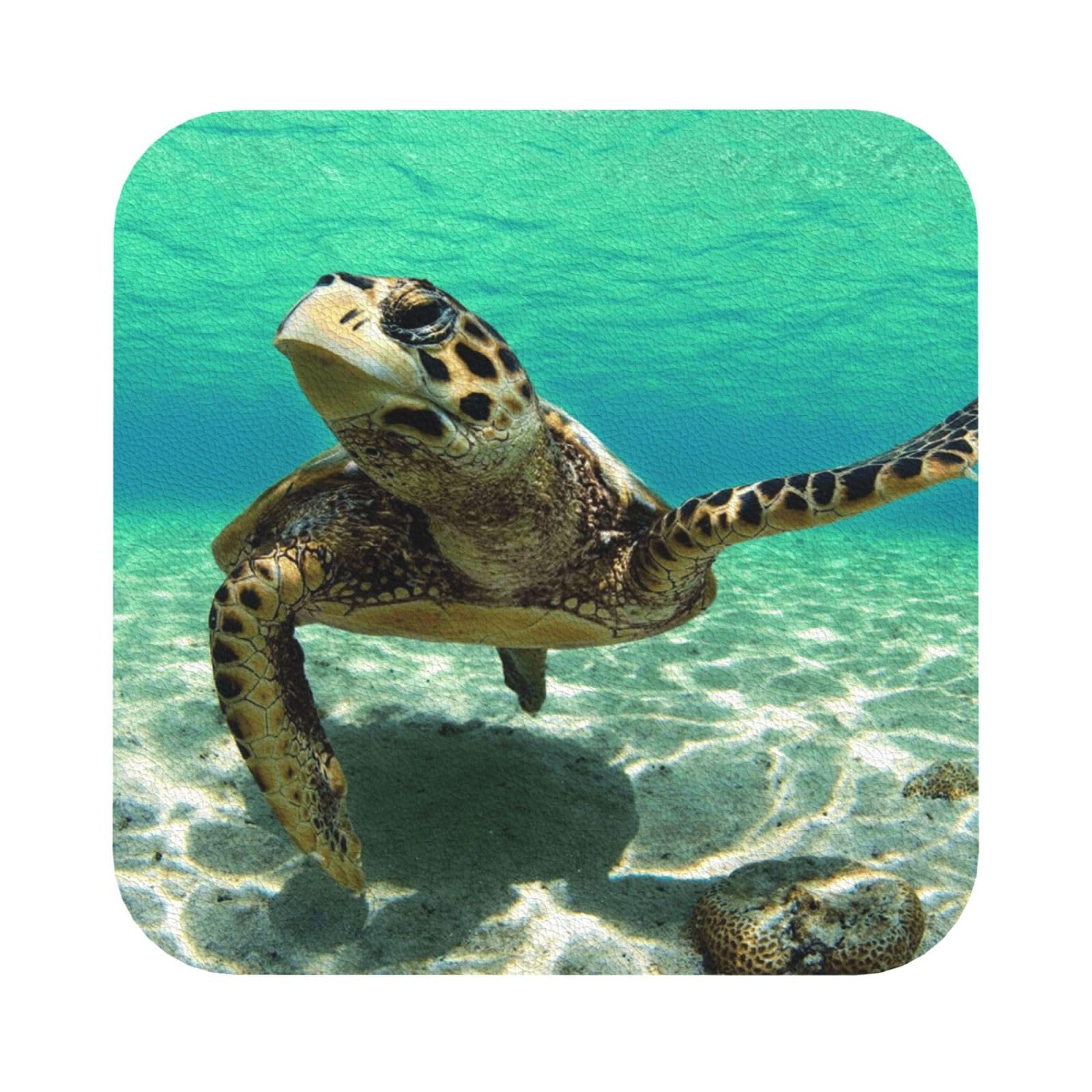 Sea Turtle PU Leather Coasters Set of 6 Square Drink Coasters