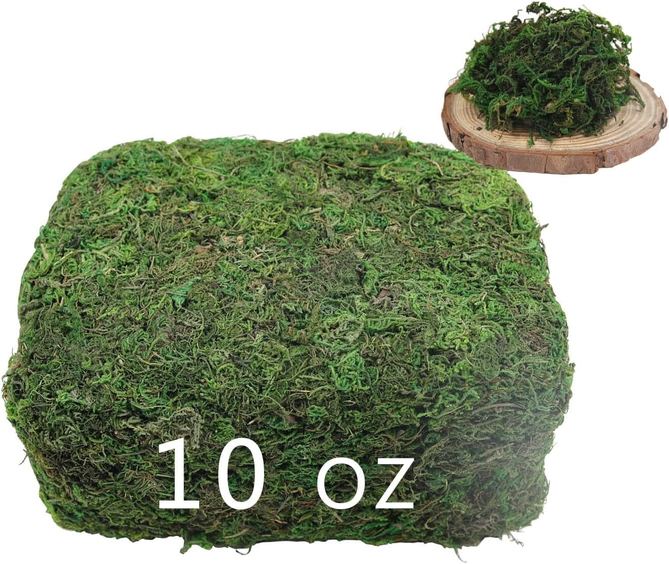 10 OZ Preserved Moss Bulk Artificial Moss for Planters