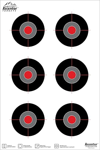 Ascentor Objetivo de disparo de precisión avanzada para rifles y pistolas - 6 zonas de objetivo - Tamaño 12 x 18 - Paquete de 20