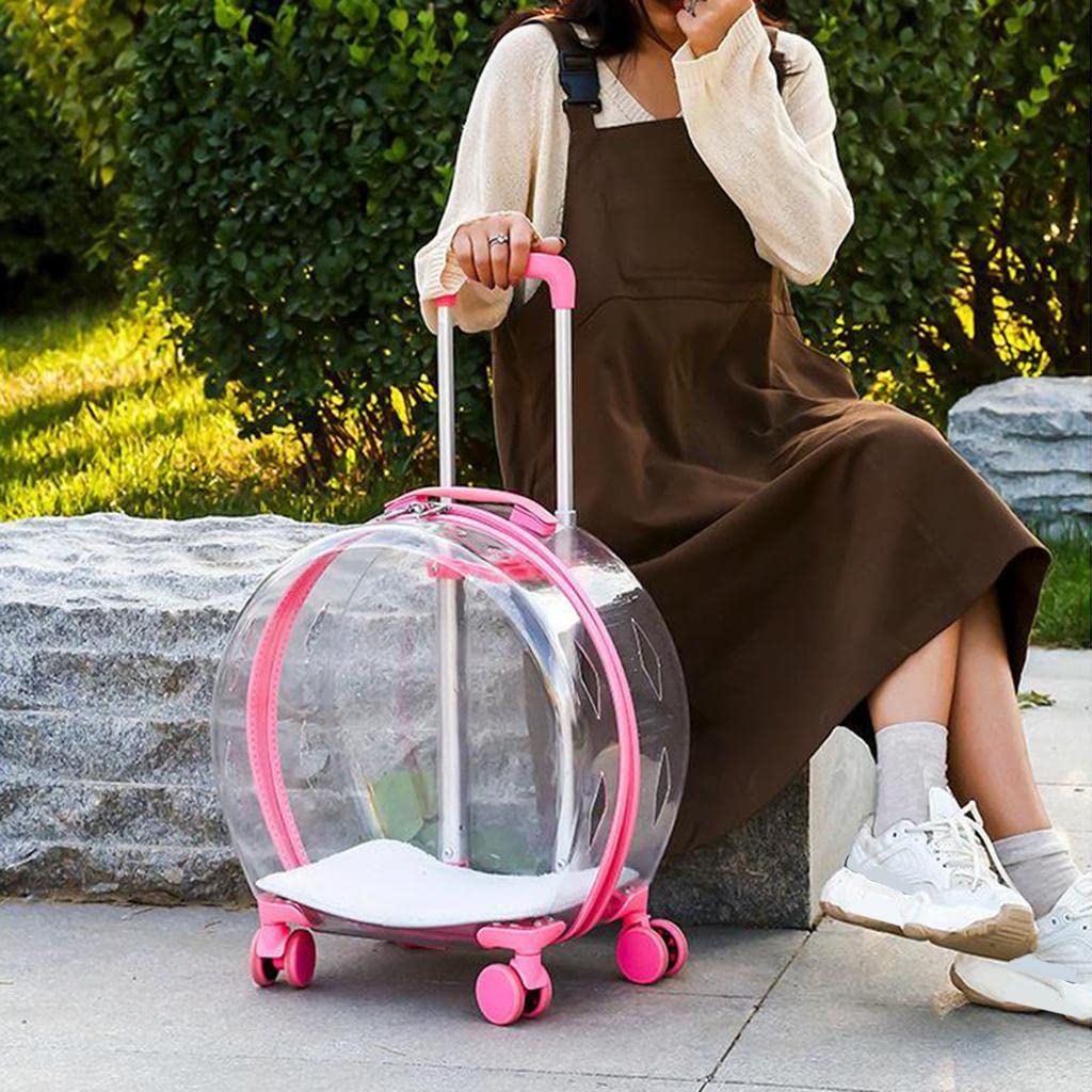 SECRET DESIRE Portable Pet Carrier Backpack Astronaut Trolley Case Travel Cat Bag Pink (B0CJMHFDQ8) Amazon Price History, Amazon Price Tracker