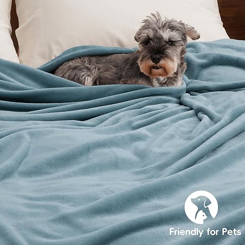 Miniatura 5 de PHF Manta de forro polar ultra suave, tamaño Queen, sin desprendimiento, sin pelusas, acogedora manta ligera de 300GSM para cama, sofá, silla, sofá,