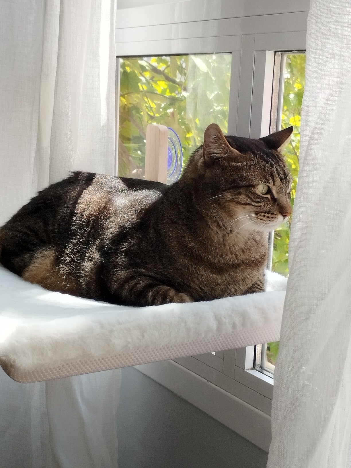 Hamaca para Gato de Ventana - Blanco