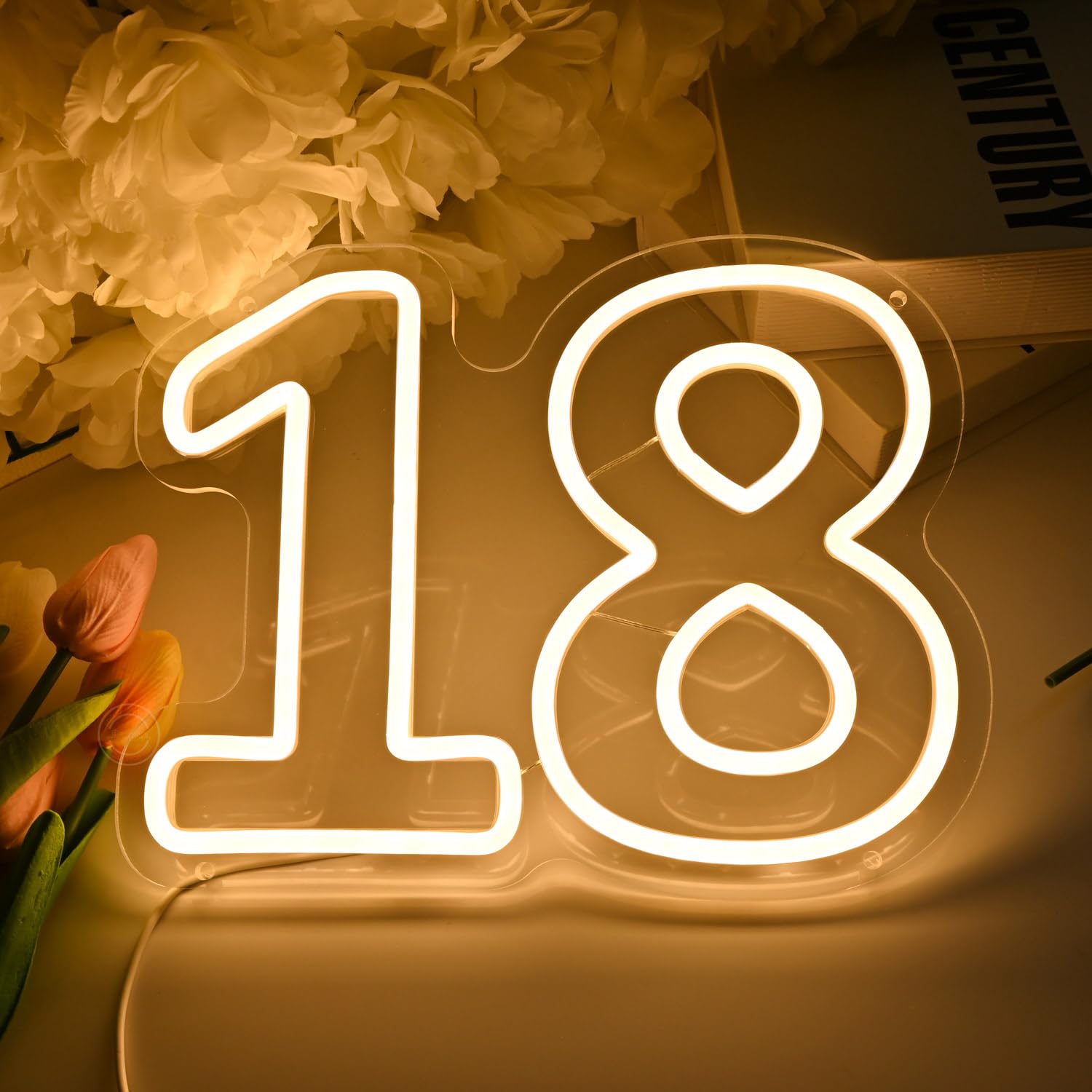 Britrio insegna al neon per 18° compleanno, decorazione sfondo, luce LED al neon per 18 anni, compleanno, anniversario, festa, decorazione da parete, banner, accessori per ragazza e ragazzo, numero e