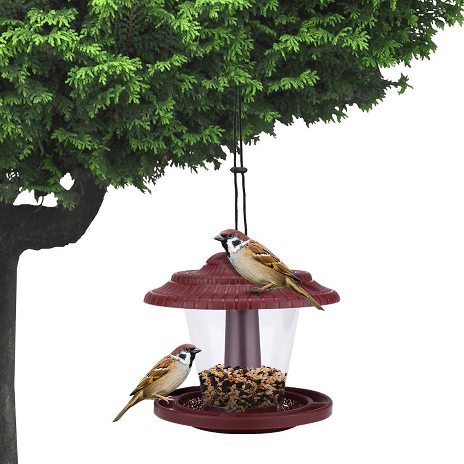 Mangiatoie per uccelli da appendere, confezione da 2 mangiatoie per uccelli da esterno con tetto resistente alla pioggia, mangiatoie da giardino in plastica resistente, per decorazioni da cortile
