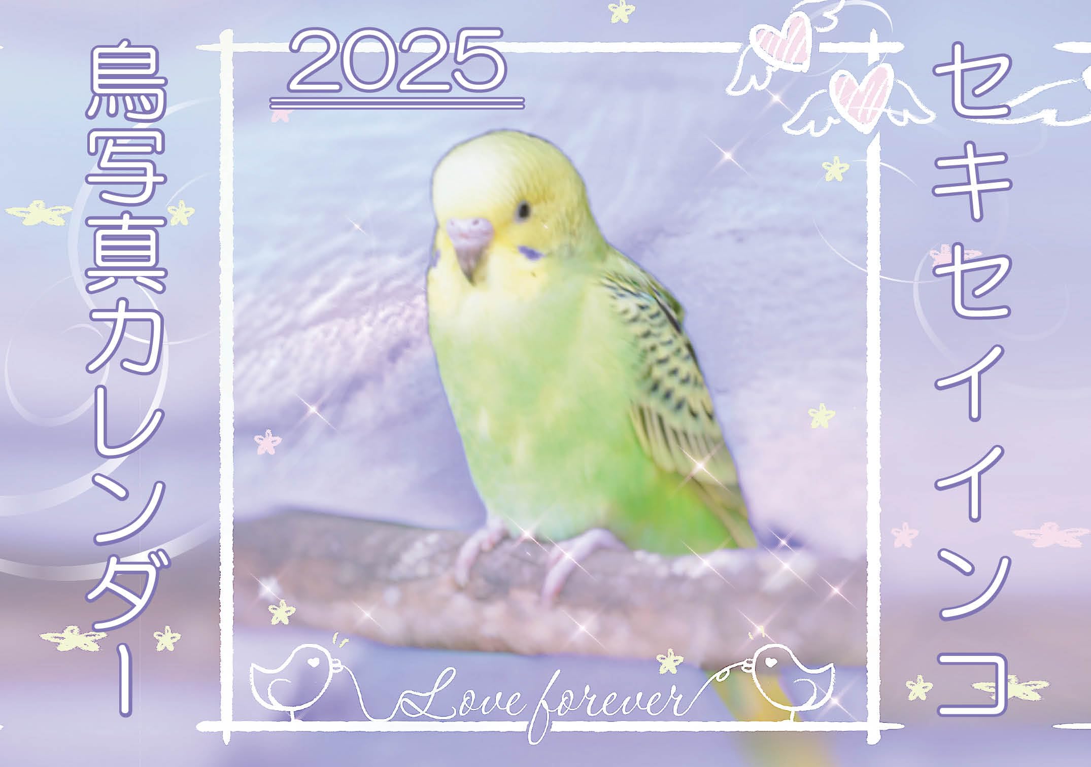 Amazon.co.jp: セキセイインコ・鳥写真カレンダー2025 B6サイズ