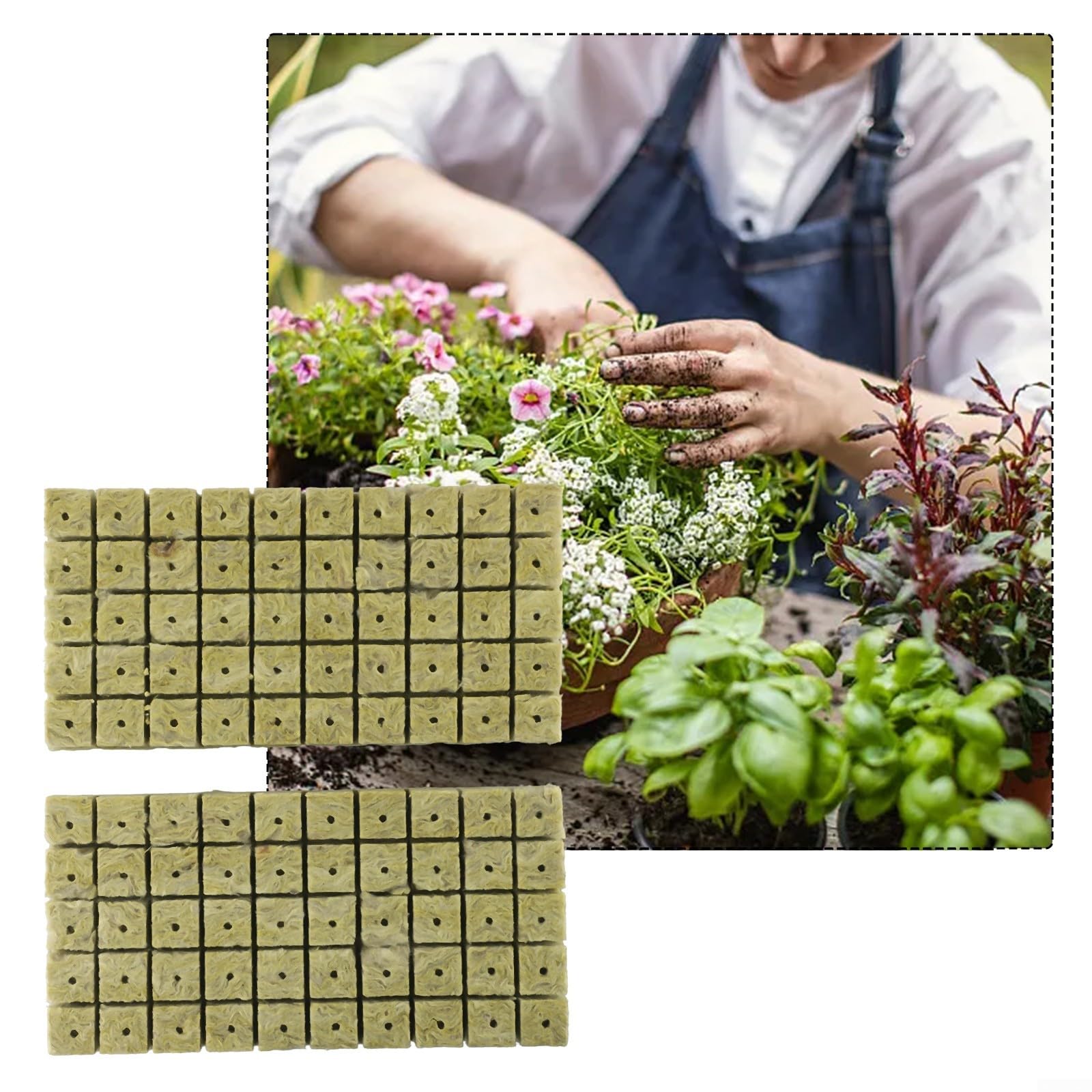 Rock-Wool Cubes, Cube Soilless Culture Medium For Cultivation,For Cuttings, Cloning, Propagation, Vigorous Growth(100pcs)