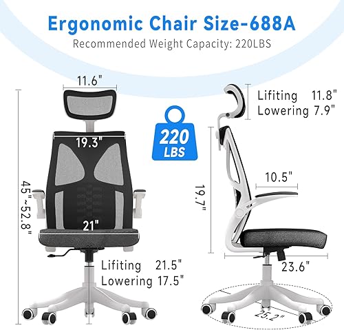 Miniatura 2 de SICHY AGE Silla de oficina ergonómica, silla de malla para computadora, sillas de escritorio de oficina en casa con reposacabezas y altura