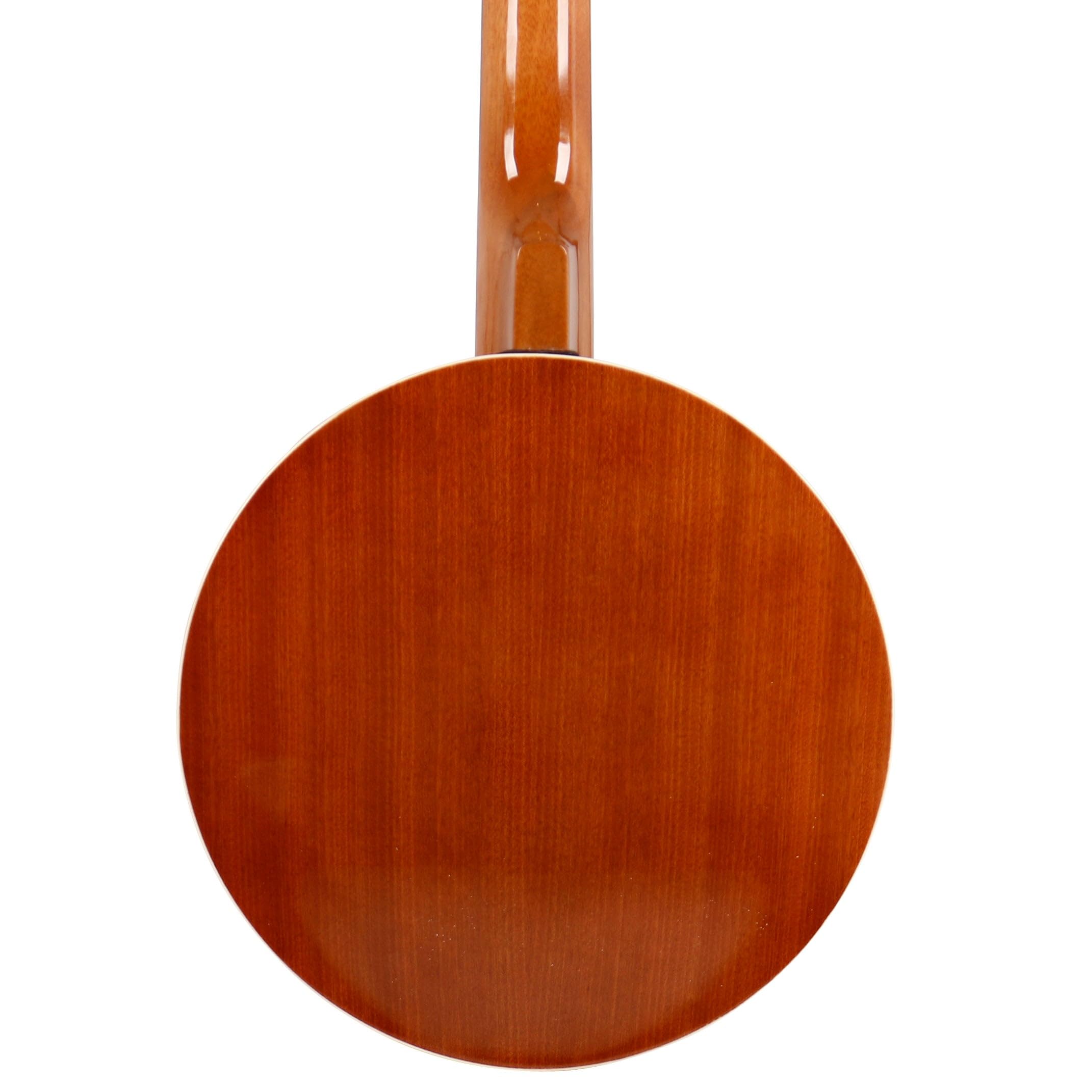 Fazley BN-50 banjo 6 cordes