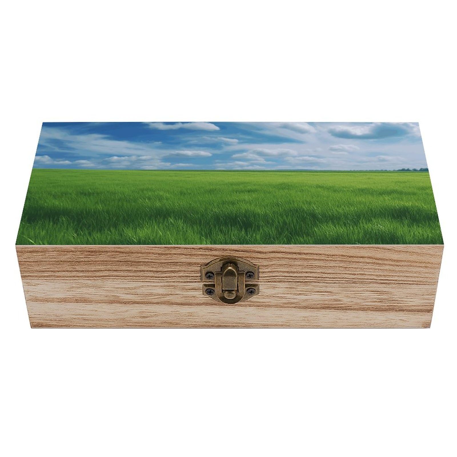 NTVOWPZO Wooden Storage Box Field Green Grass Wood Gift Box with Hinged Lid Vintage Decorative Boxes Jewelry Memory Box for Jewelry Art Hobbies Home Storage Treasure Keepsake Gift