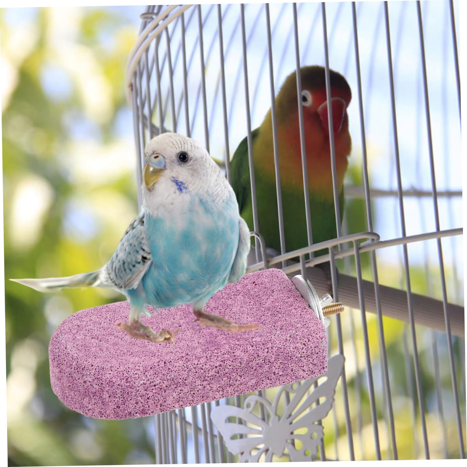 HANABASS 5pièces Perchoir Pierre De pour Perroquets Jouet à Mâcher pour Oiseaux Station De pour Perruches Et Oiseaux
