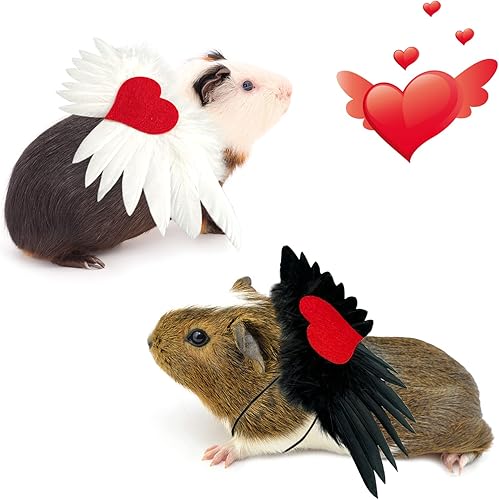 Vehomy Traje de 2 piezas para el día de San Valentín, alas de ángel con corazón de amor, disfraz de corazón de amor para mascotas pequeñas, chaleco