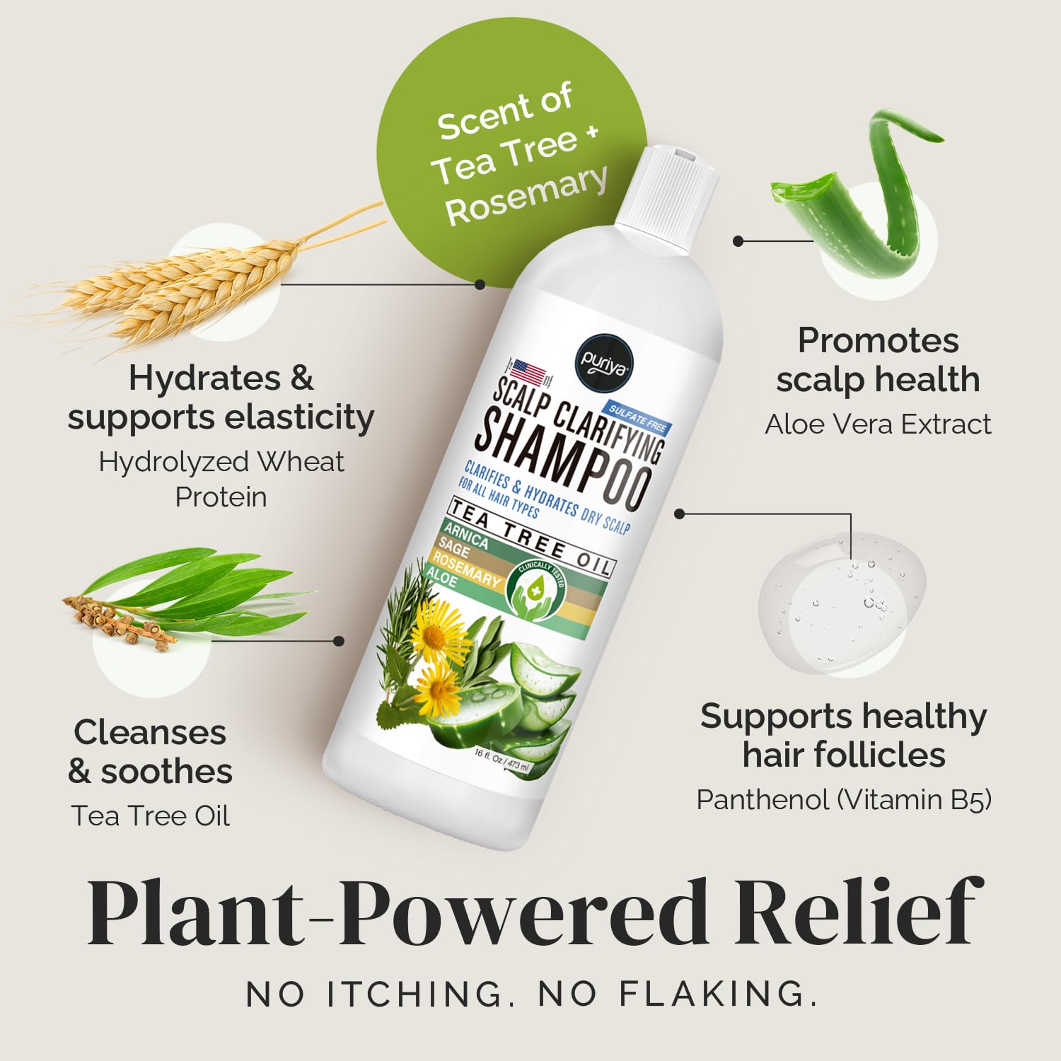 Puriya Tea Tree Clarifying Shampoo. Plant Rich Dry Itchy Scalp Relief, for Kids, Adults, Sulfate Free, No Harsh Chemicals Seen in Dandruff Treatment, Seborrheic Dermatitis, Psoriasis Shampoo, 16 oz - Image 5