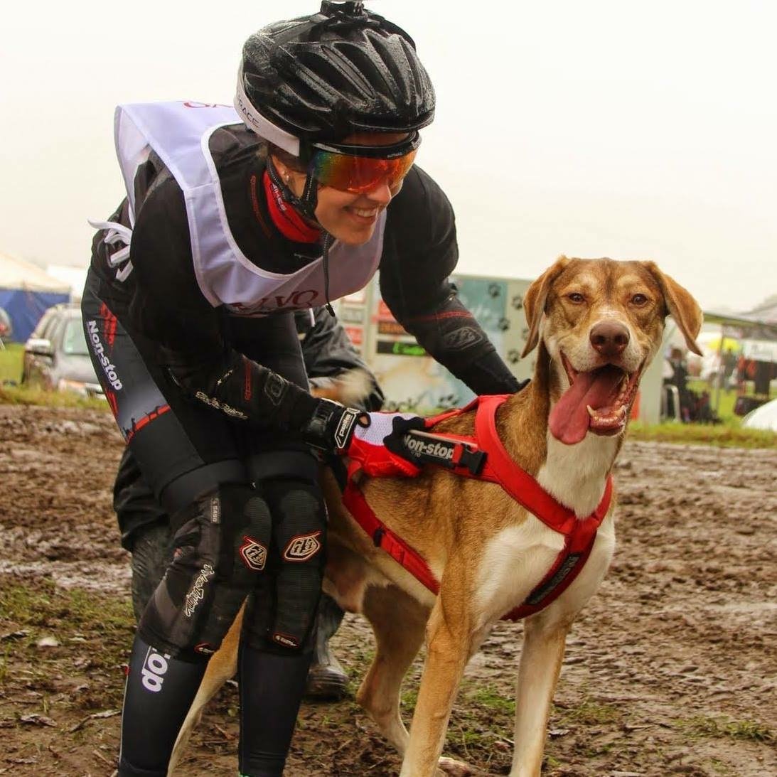 NON-STOP - Guinzaglio estensibile per 2 cani, taglia 2 m