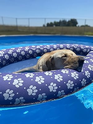 Buy SwimWays Spring Float Paddle Paws 