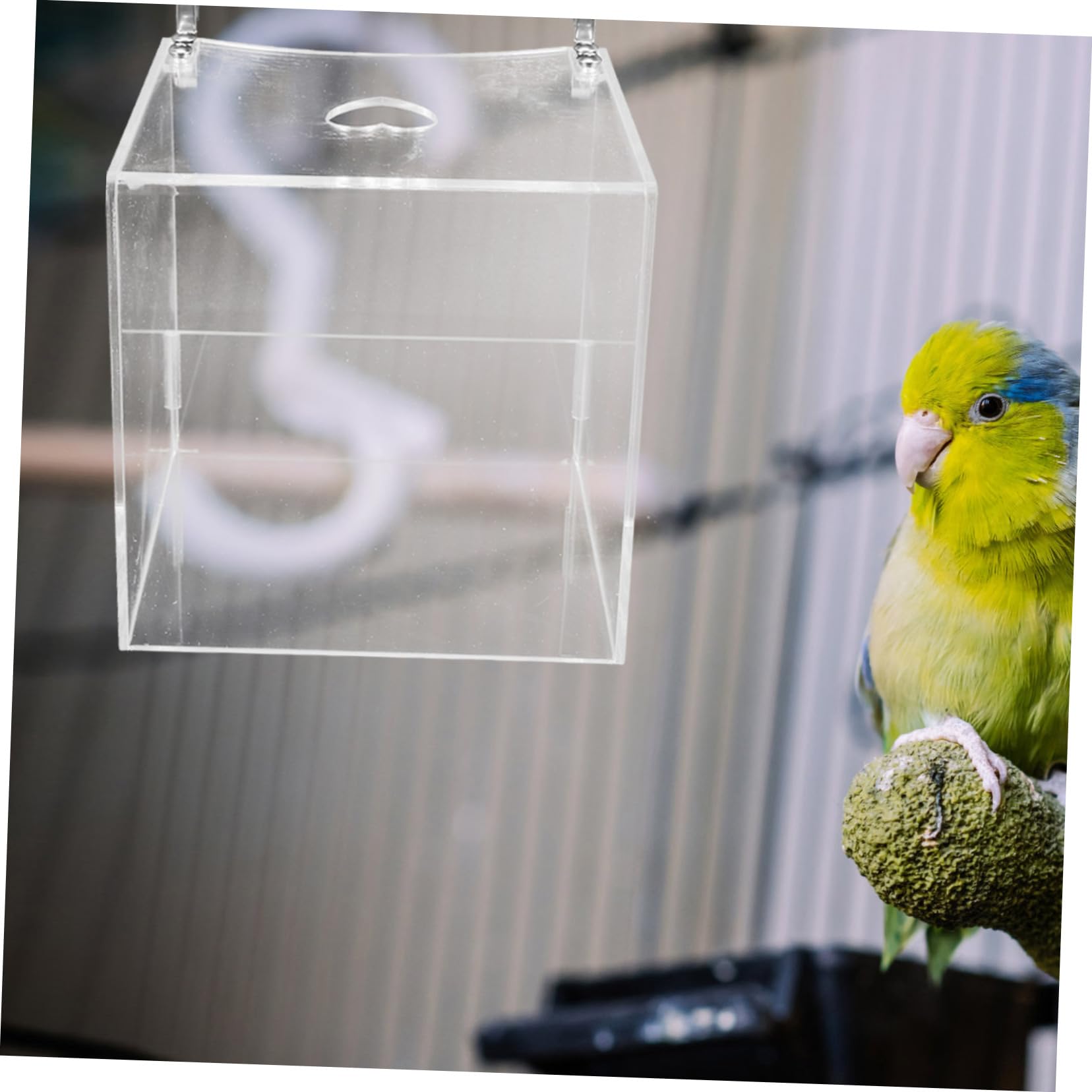 Transparentes Vogelbad Für Papageien Multifunktionale Badewanne Und Futterbox Für Wellensittiche Mit Rutschfestem Design Und Langlebigem Material Für Vogelkäfige