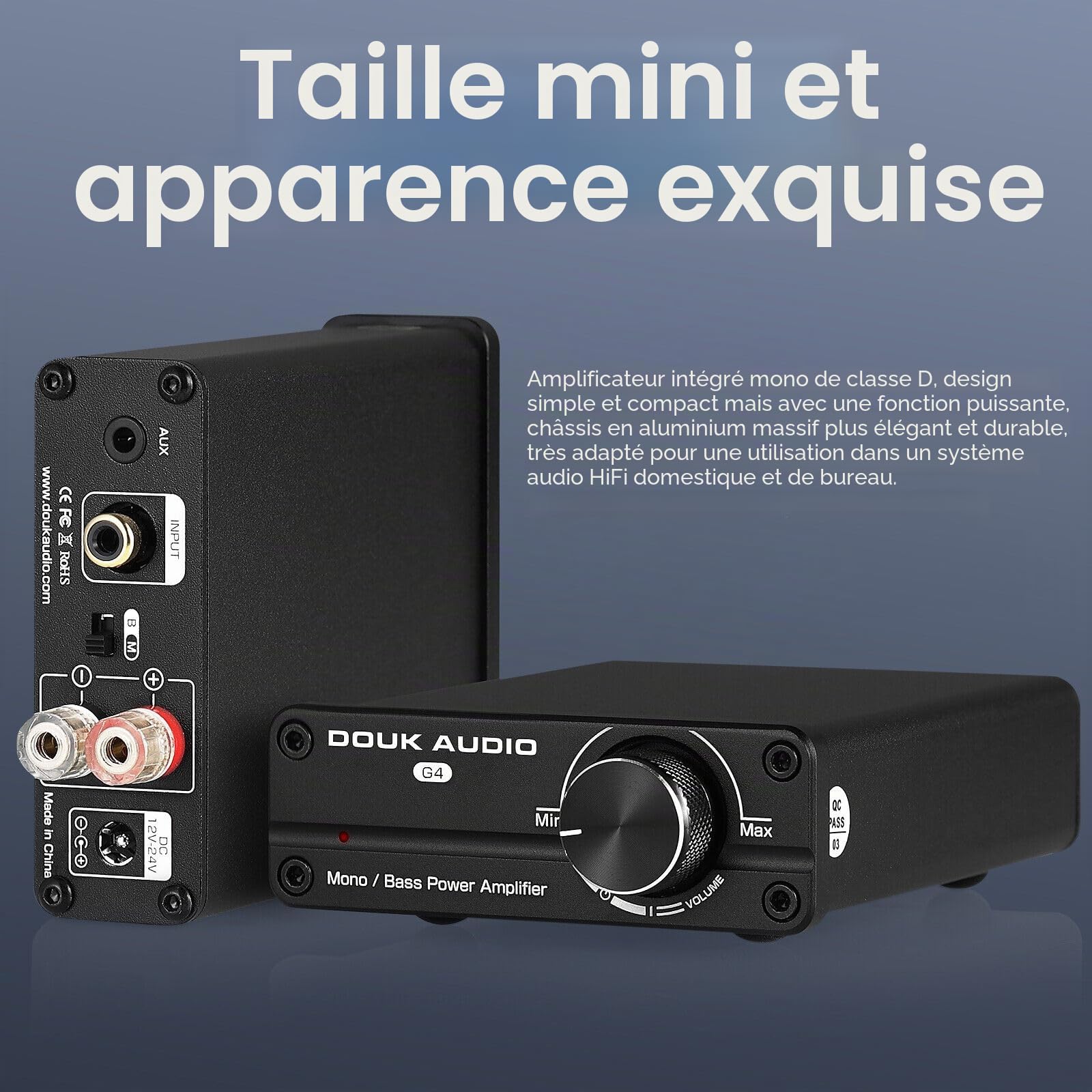 Mini caisson de basse/Full Fréquence mono-canal Amplificateur de puissance Mono Power Amplifier Subwoofer Amplificateur