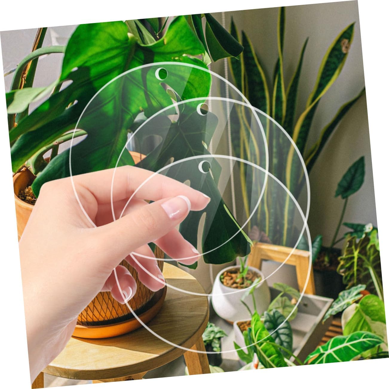 OHPHCALL Acrylic Discs Set 8 Round Blank Plates Smooth Edges Ideal for DIY Decor Artwork Lightweight