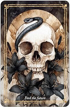 Memento Mori: 36 Mini Affirmation Cards to Embrace Life: Red Wheel