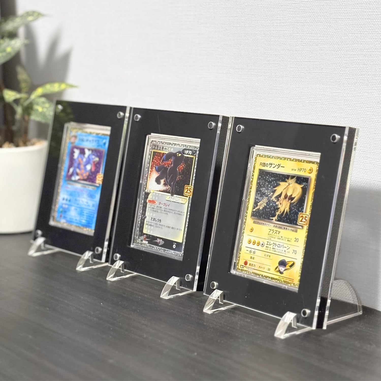Amazon.co.jp: SPICA トレカ ディスプレイケース スクリューダウン