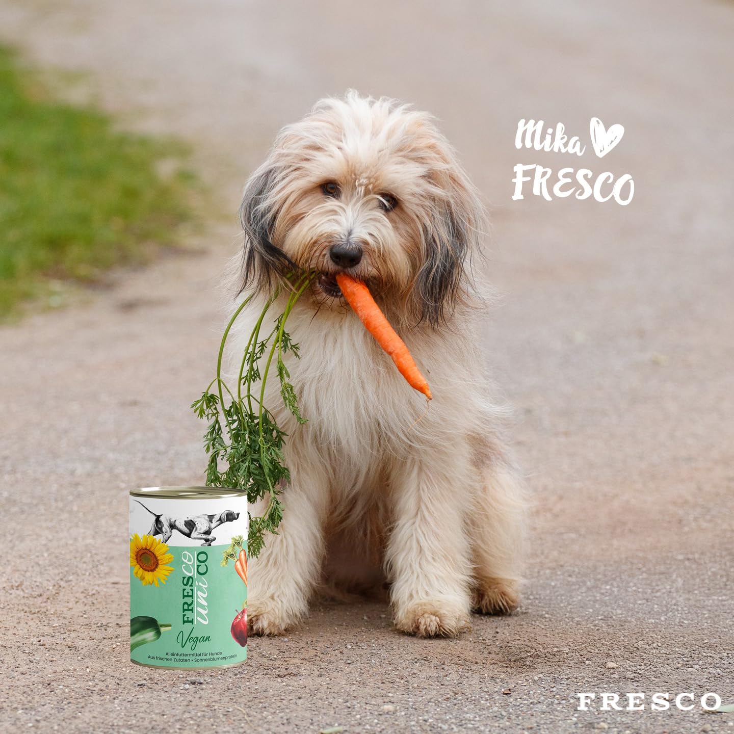 FRESCO Dog Unico Vegan Hundefutter Nass 6 x 400g | Hochverträglich & gesund