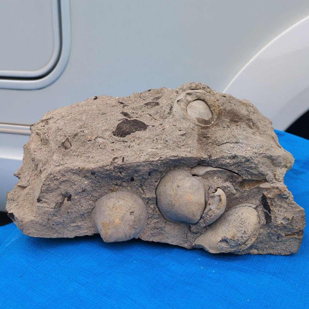 ジャスパー 2.6㌔ 鑑賞石 観賞石 水石 天然 置物 メノウ ブラッド