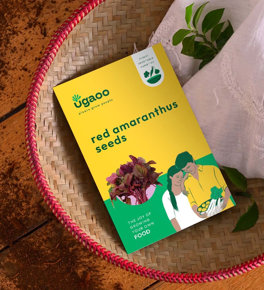 UGAOO Red Amaranthus Vegetable Seeds (Pack of 10g) (B09MLQ3W7H) Amazon Price History, Amazon Price Tracker