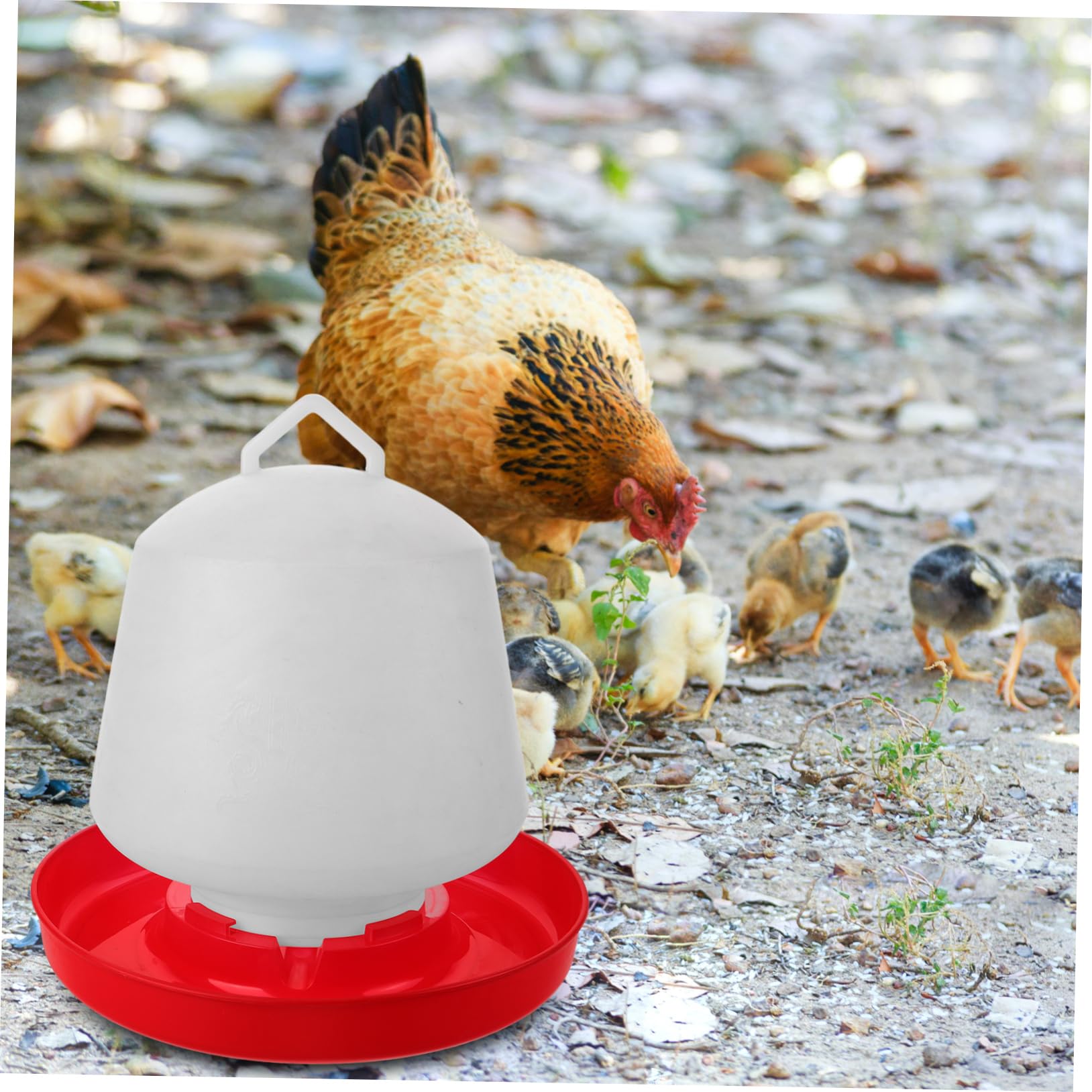 Toyvian Mangiatoia per Polli e Piccioni in Plastica Bianca Struttura Stabile e Resistente alla Pressione per Uso Esterno Design Creativo e Vasca Capiente