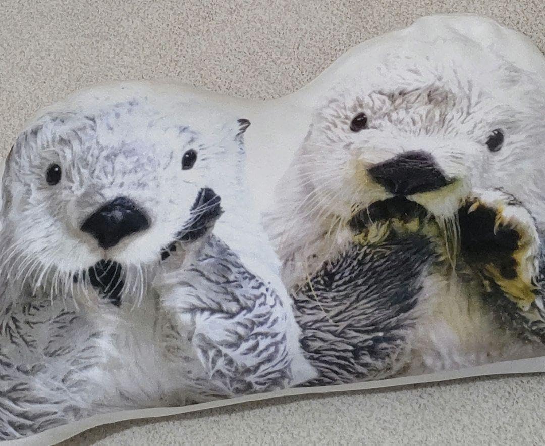 【新品】鳥羽水族館　メイちゃんキラちゃん　ラッコ クッション Amazon.co.jp: 鳥羽水族館限定品 ラッコ メイキラ クッション