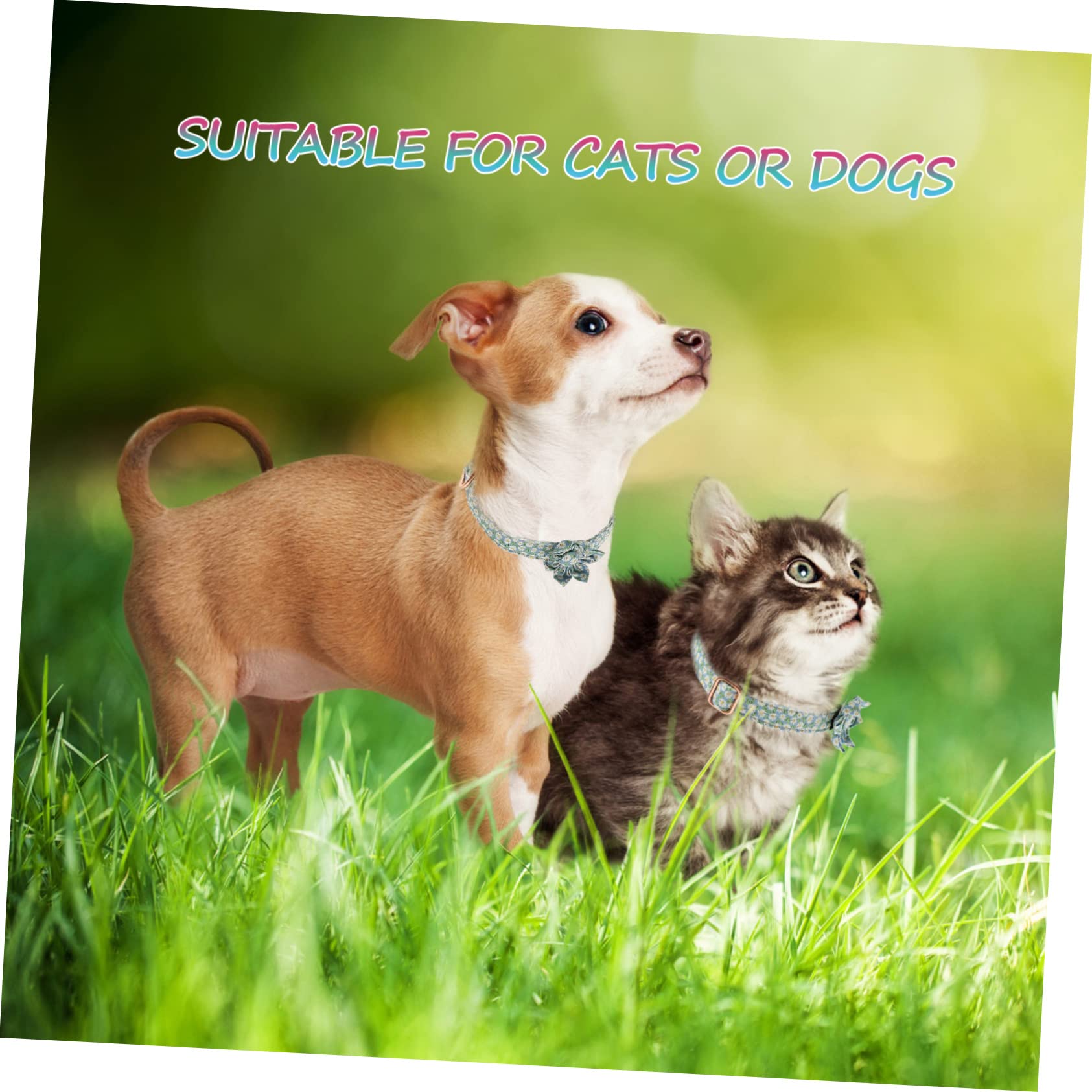 PRETYZOOM 4 Pz Collare Per Animali Domestici Ornamento Del Collo Del Cucciolo Gatto Lega L'anello Al Collo Collari Decorativi Per Cani Decorazioni Floreali Sciarpa Cotone Scritte