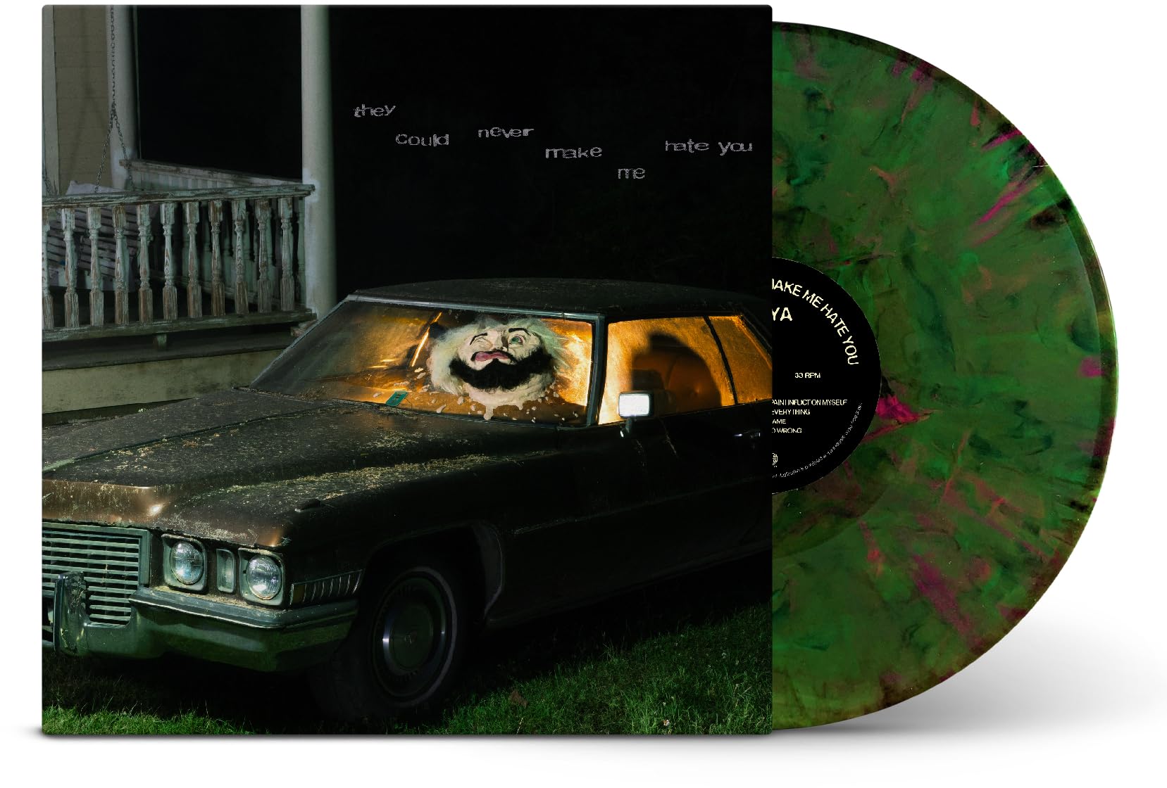 They Could Never Make Me Hate You [VINYL]