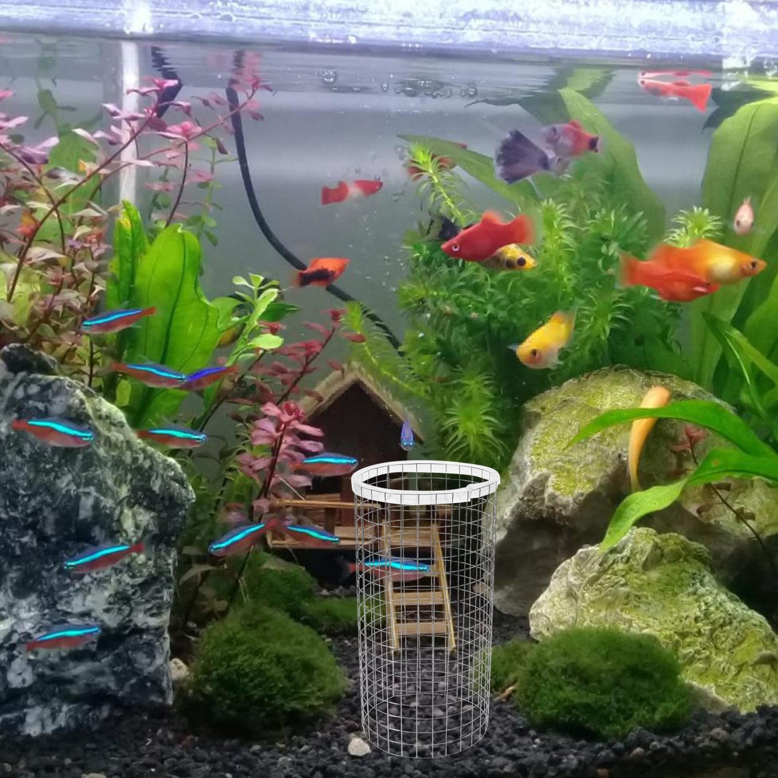 Alasum Rejilla de Cono de Desove para Acuarios de Hierro Plata, Fácil de Usar y Decorativa, Adecuado para Cría de Camarones y Peces Pequeños en Tanques de Reproducción