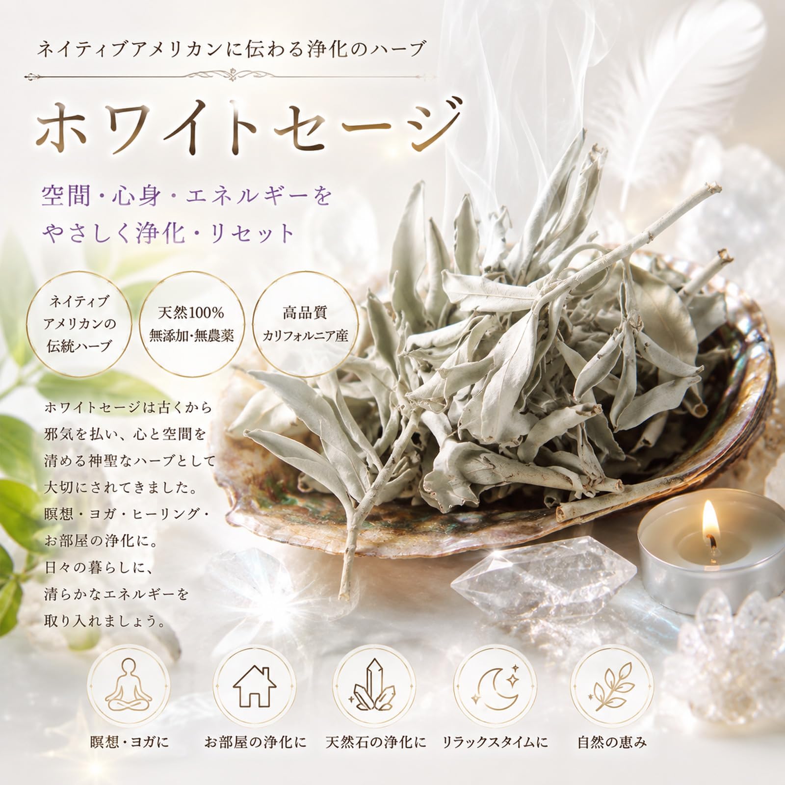 Amazon.co.jp: sin(シン) 無農薬 ホワイトセージ 枝無し(リーフ) 約10g