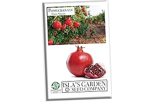 Over 30 Vibrant Pomegranate Seeds (Isla's Garden Seeds)