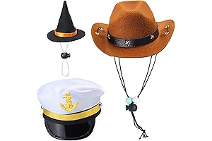 Yewong 3 Pieces Pet Hat: The Ultimate Steampunk Dog Costume