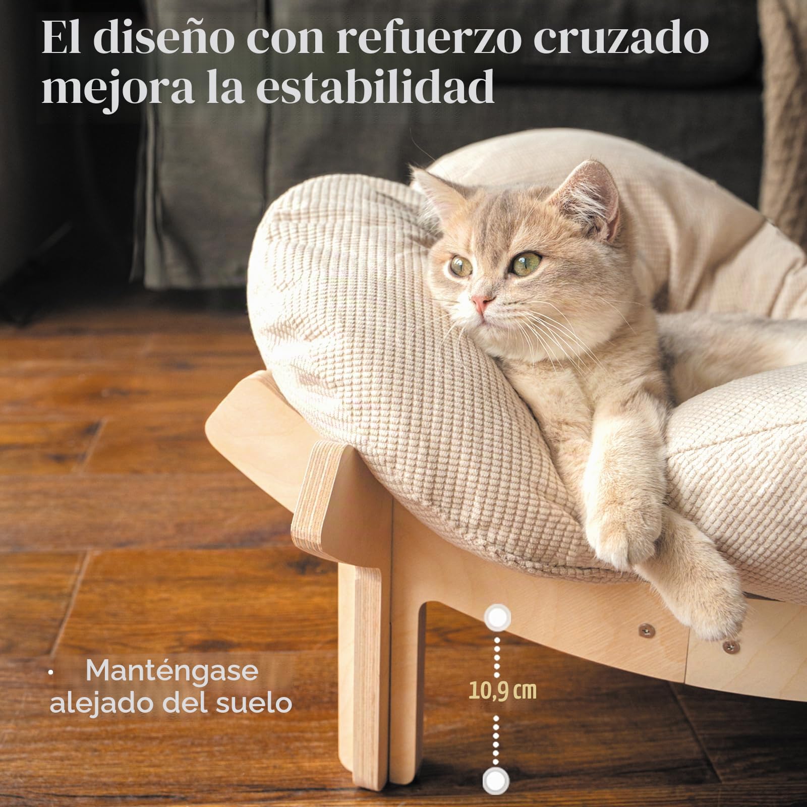 CheerPals Cama elevada para gatos en forma de flor, 55 cm de largo y ancho, gran sofá para gatos, elegante silla para gatos con almohada súper elástica y suave, mueble para gatos para dormir para