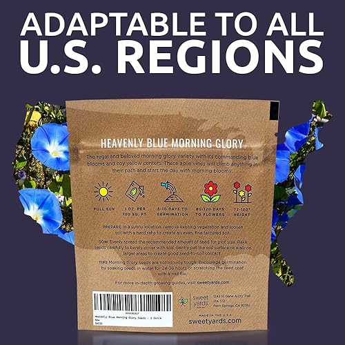 Miniatura 7 de Morning Glory Seeds Celestial Blue - Paquete grande de 1 onza - Más de 1,000 semillas de flores