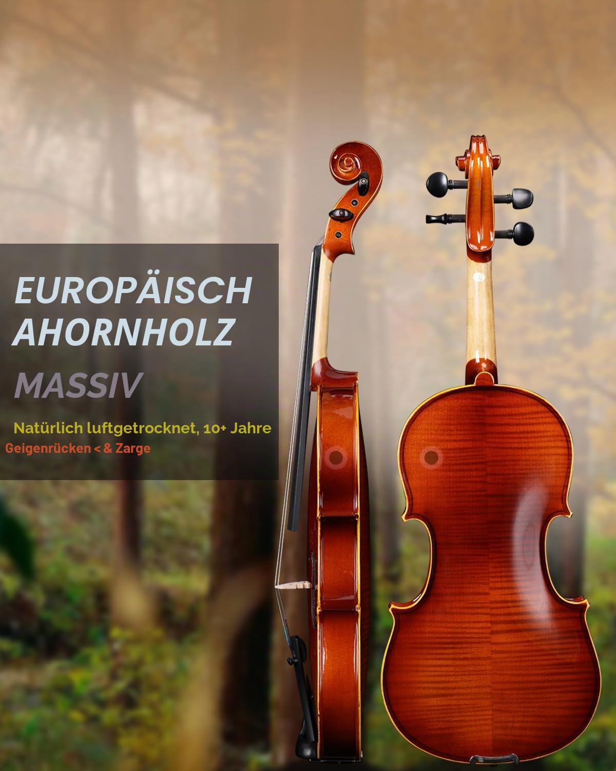 Aileen 4/4 Geige Erwachsene Anfänger, Violine Set für Kinder ab 12+ Jahre, Massive Europäische Fichte Violine mit Notenständer