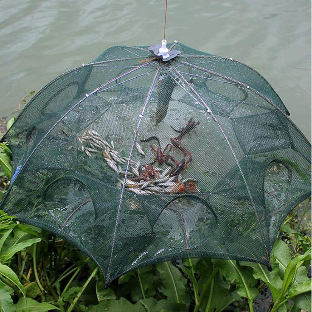 Piège à Poissons Pliable 6 Entrées - Filet De Pêche