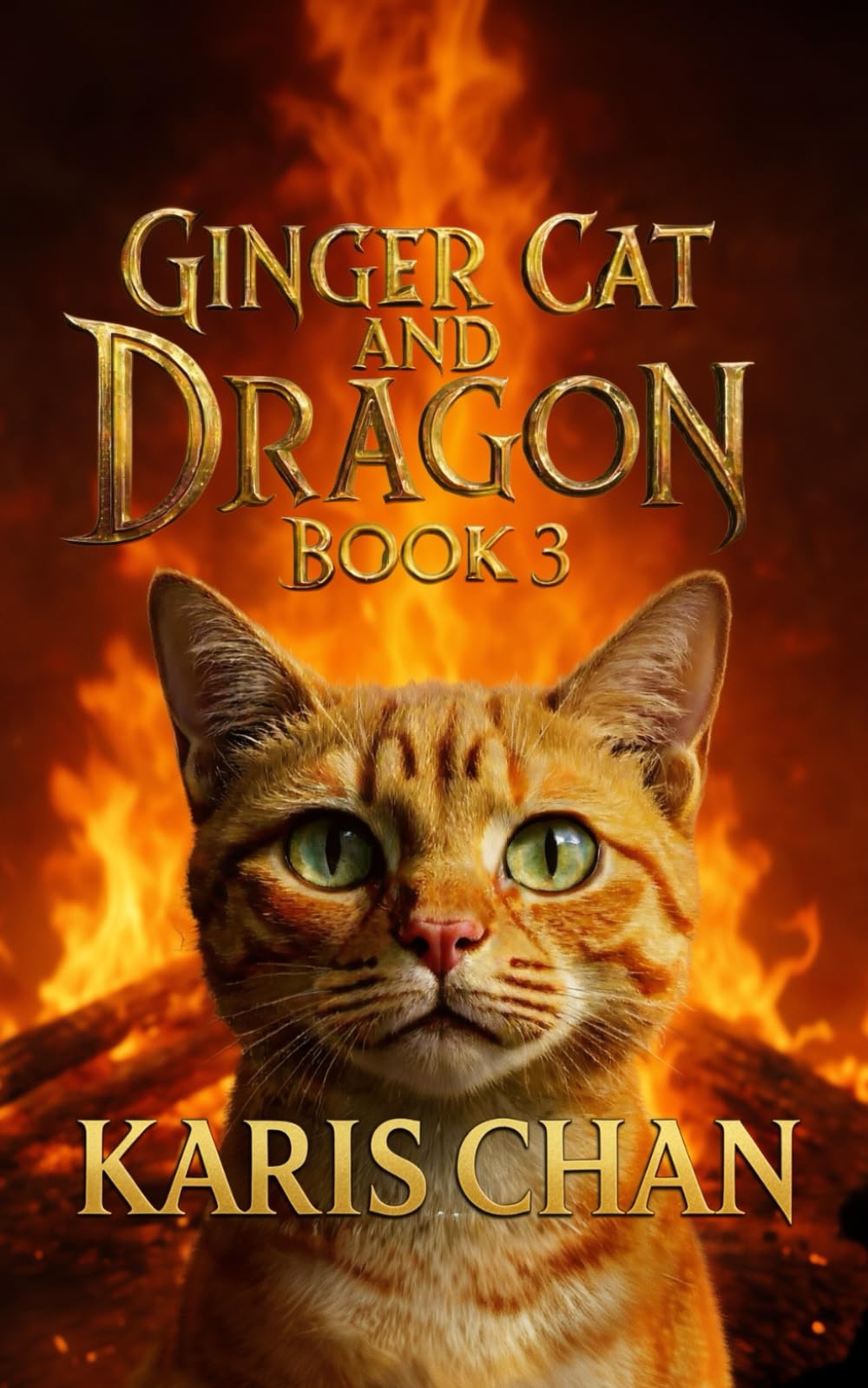Ginger Cat and Dragon Book 3 (Ginger Cat & the Dragon Pact Saga)